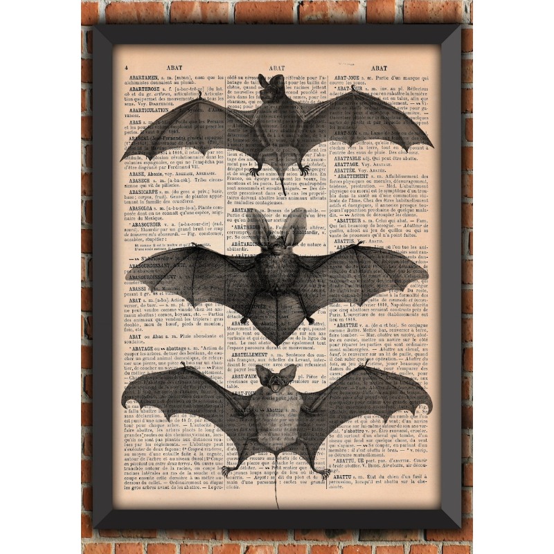 Bat Skeleton Dark Gothic Odd S - огляд і ціна Photography Night
