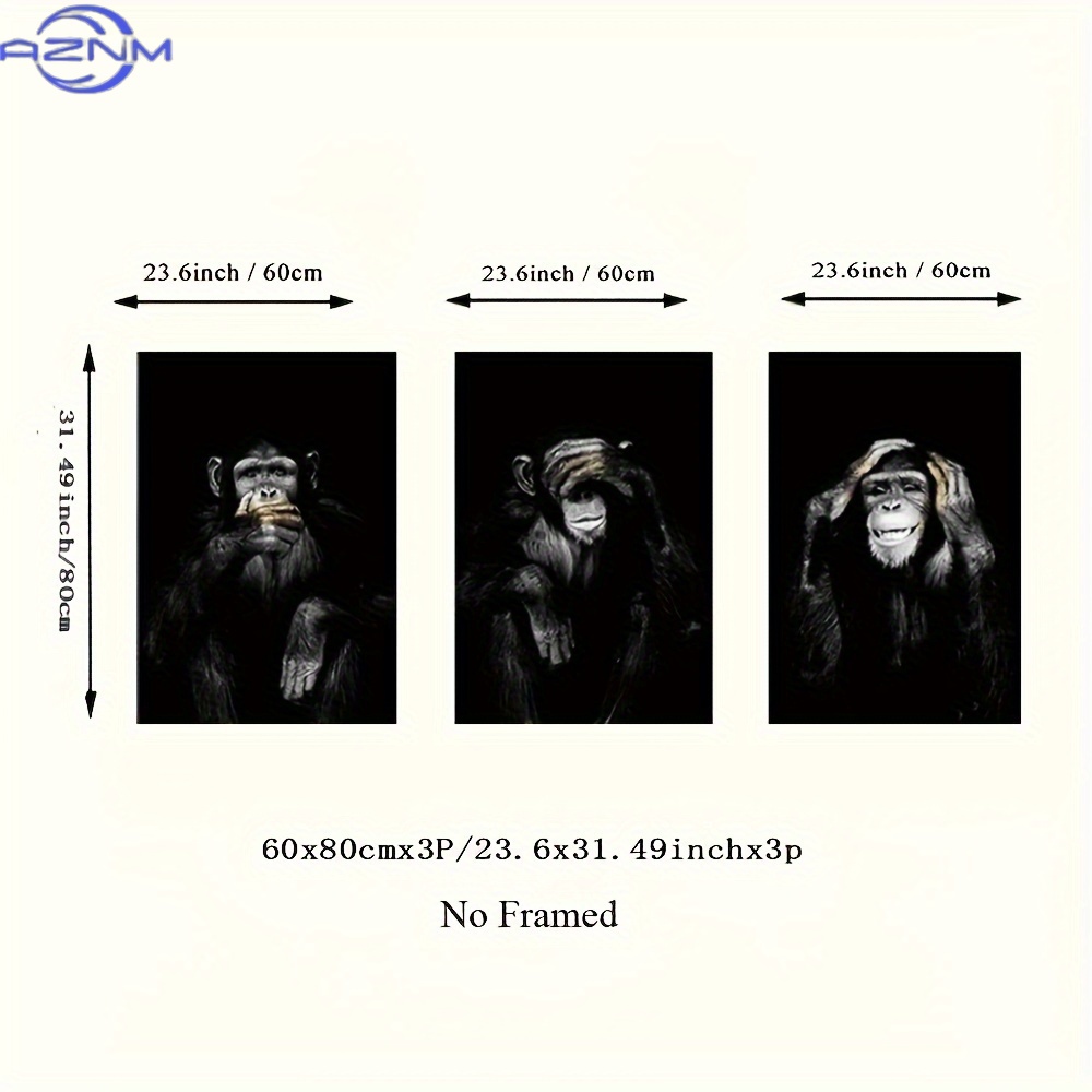 3pcs/set Big Size Unframed Ret - огляд і ціна Photography Black And White
